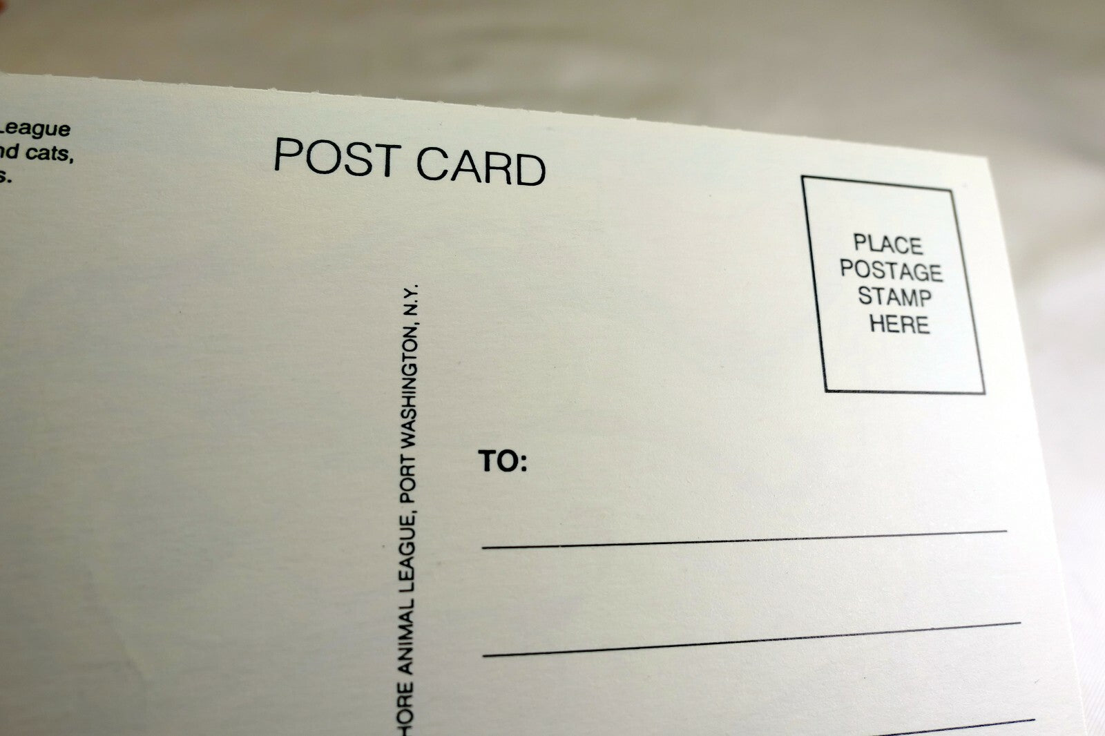 Lets Party Postcard Animal Shelter North Shore League Dog Basset Hound 1980'