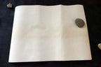 President FDR Franklin Roosevelt 100th Anniversary Birthday Poster 1882-1982