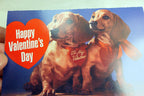 Happy valentines day postcard animal shelter north shore league dog adopt 1980's