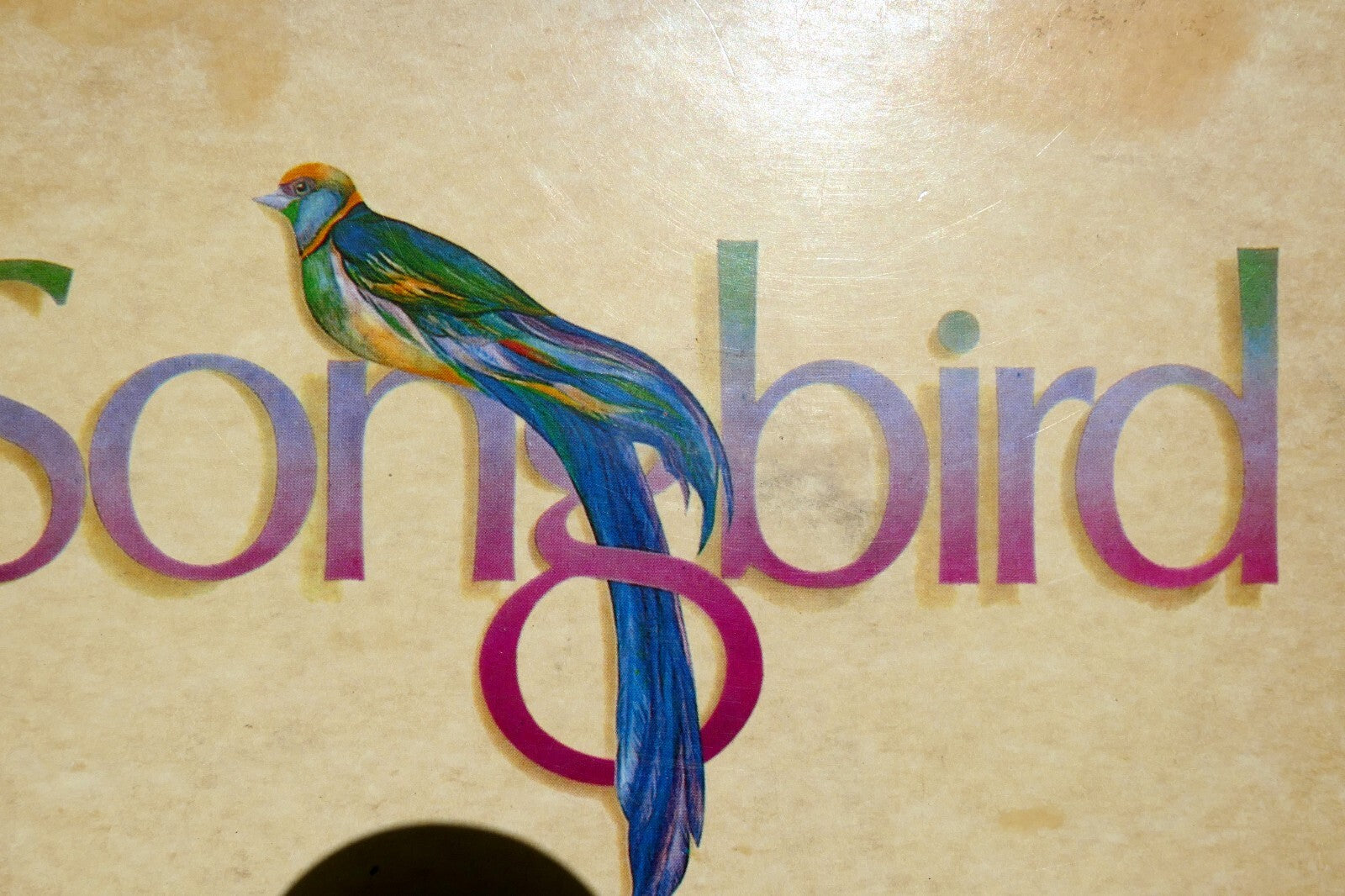 Songbird nu9730 lp vinyl mclean sayer abba james taylor 1981