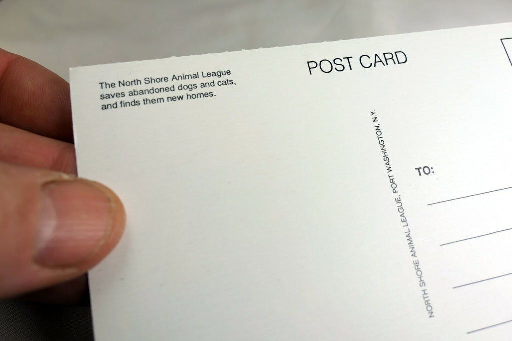 Just a Note Postcard Animal Shelter North Shore League Adopt a Pet Kitten 1980's