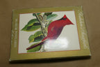Songbirds John James Audubon Postcard Postcard unposted set of 5 lot