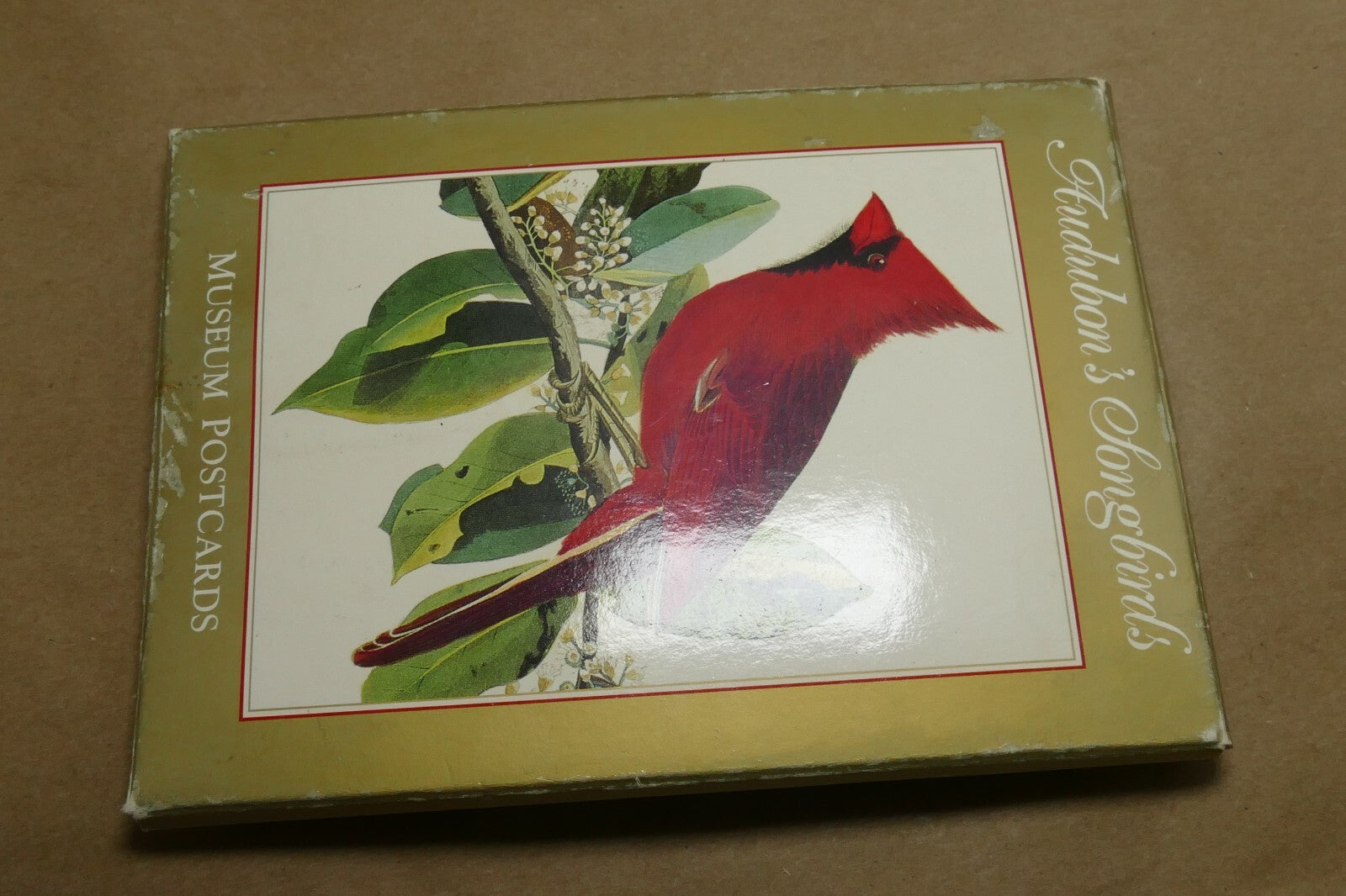 Songbirds John James Audubon Postcard Postcard unposted set of 5 lot