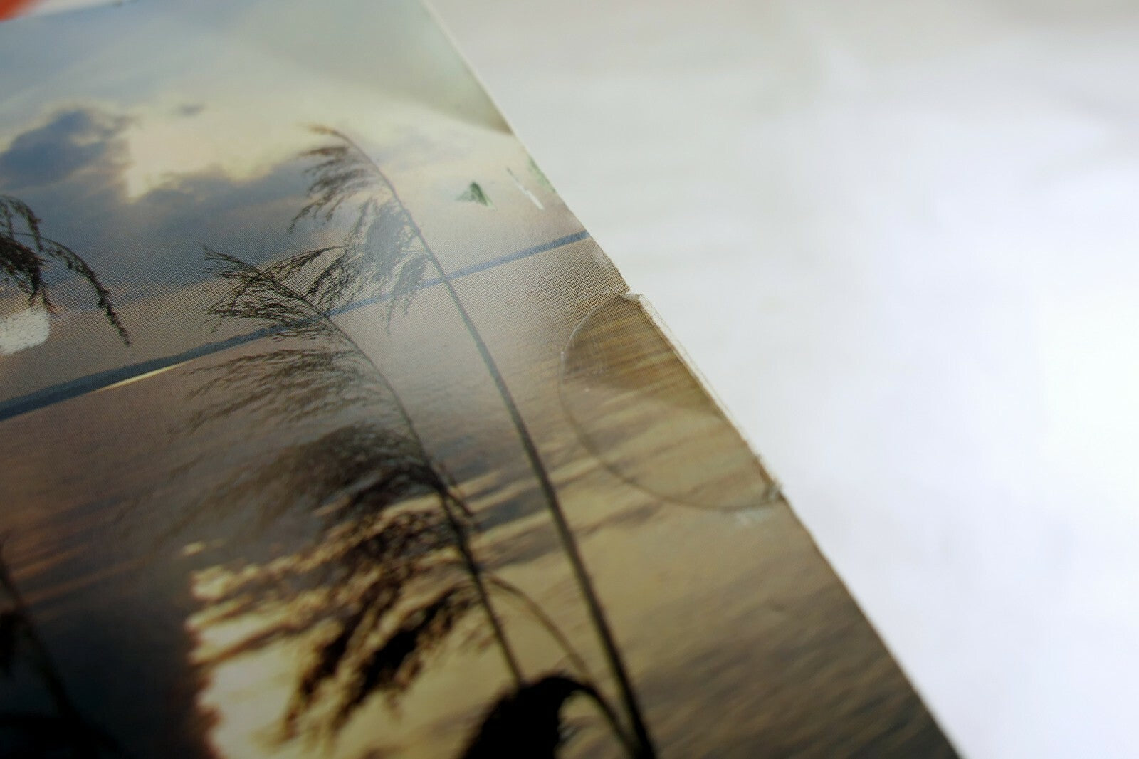 Lake Pampas Reeds grass sunset California USA Postcard vintage 1980's