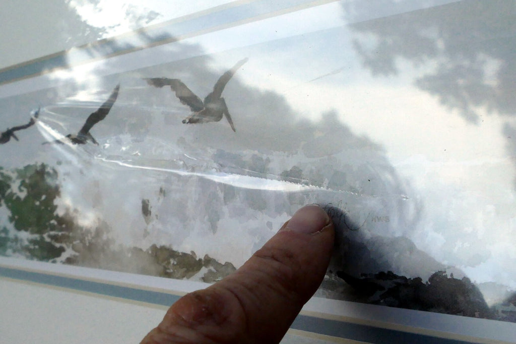 3X18" shorebirds pelicans flying Print R. folk NWS