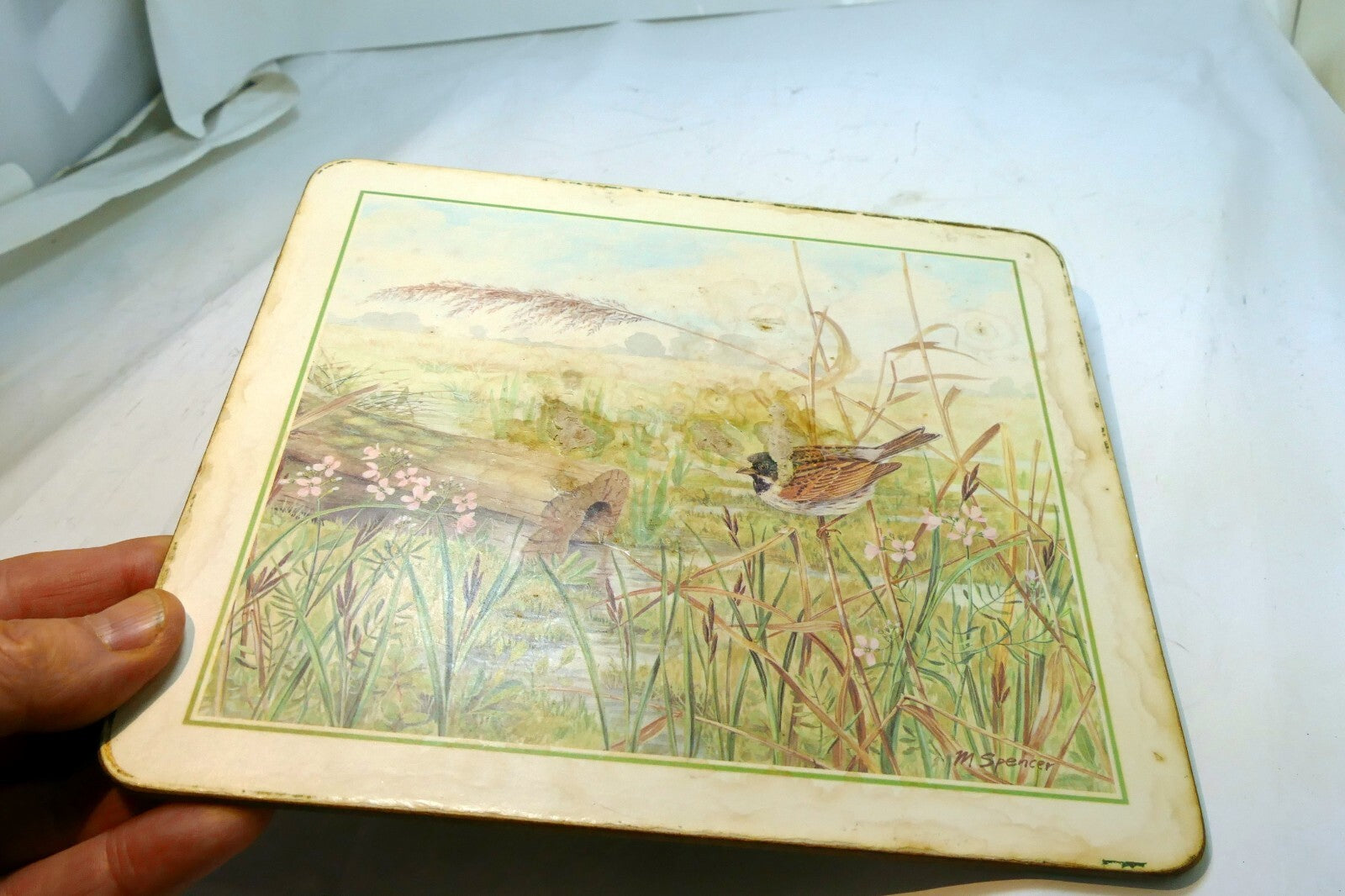 Bird  Placemat   mat 7X8" by M. Spencer Birds - vintage