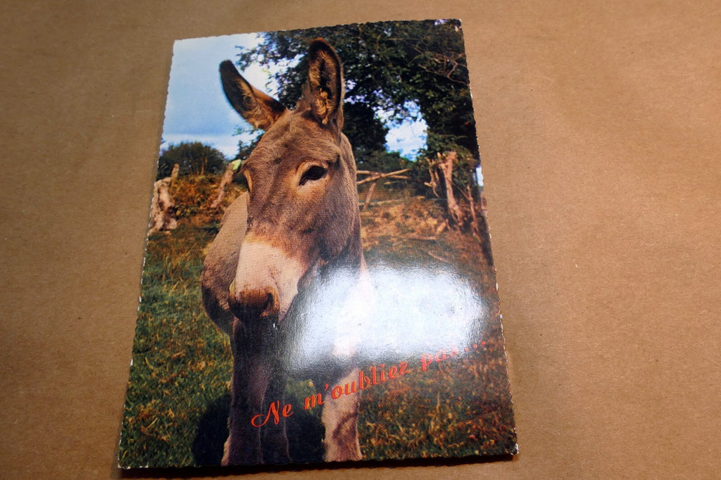Donkey ne m'oubliez pas... postcard Paris (France) No 7108  - unposted