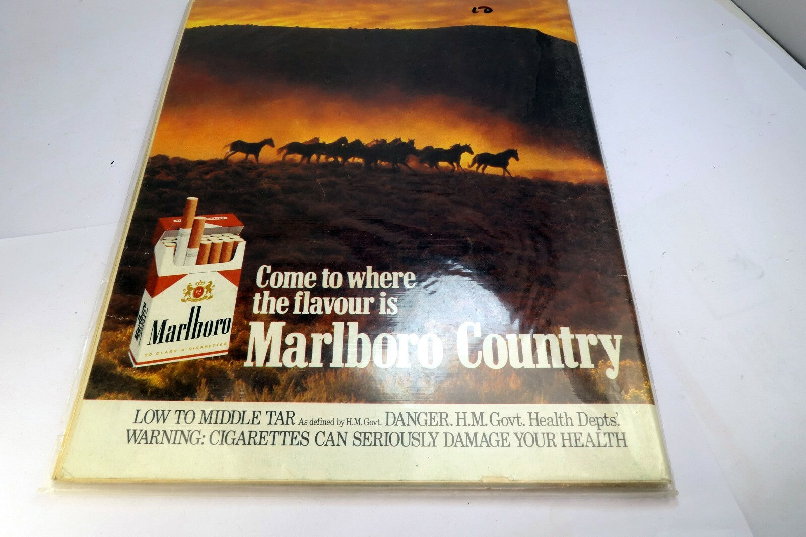 Motor Sport Magazine April 1981