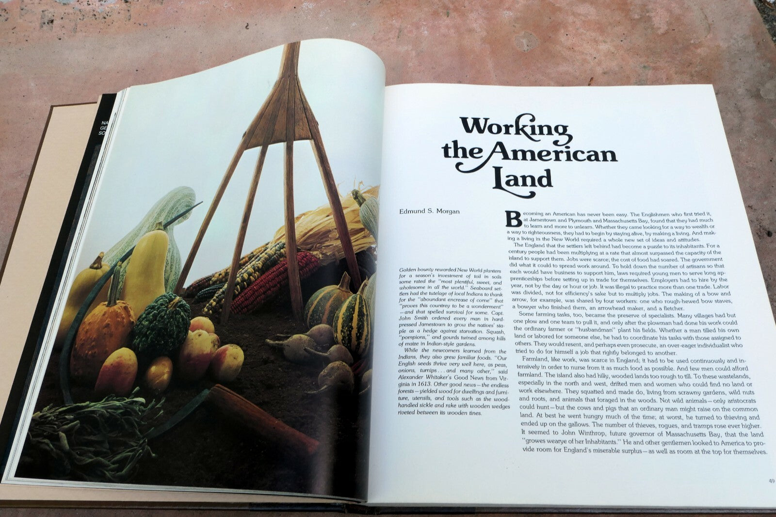 We Americans 1975, Hardcover National Geographic Illustrated Americana decor