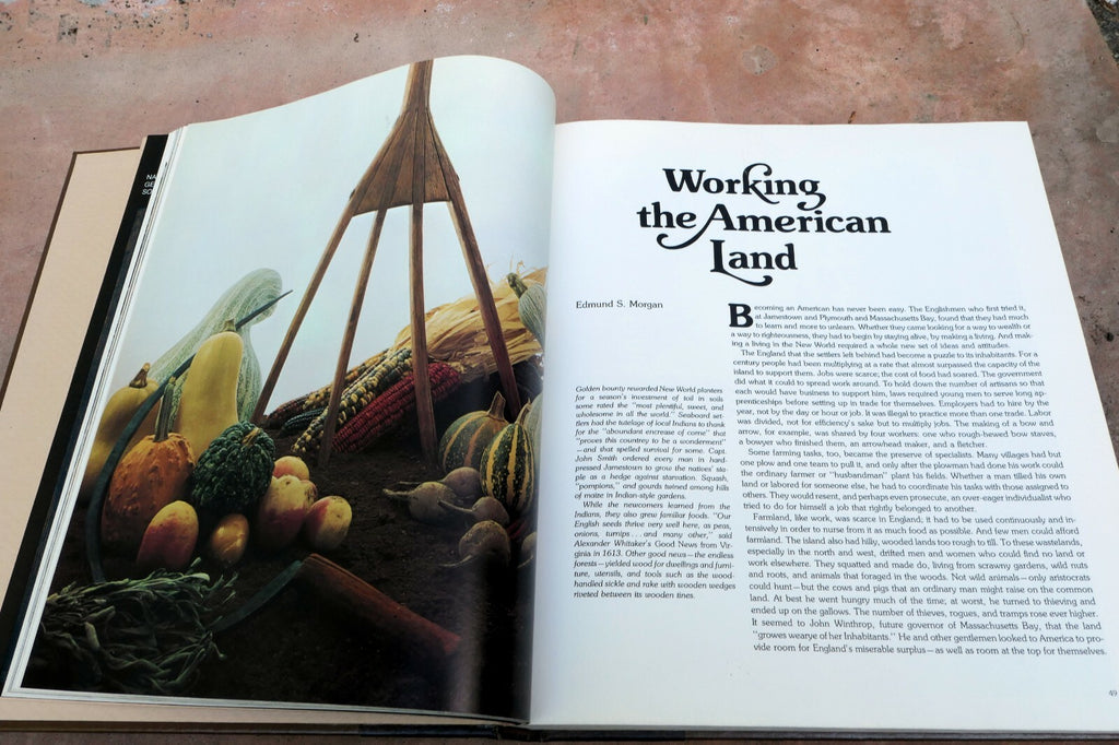 We Americans 1975, Hardcover National Geographic Illustrated Americana decor