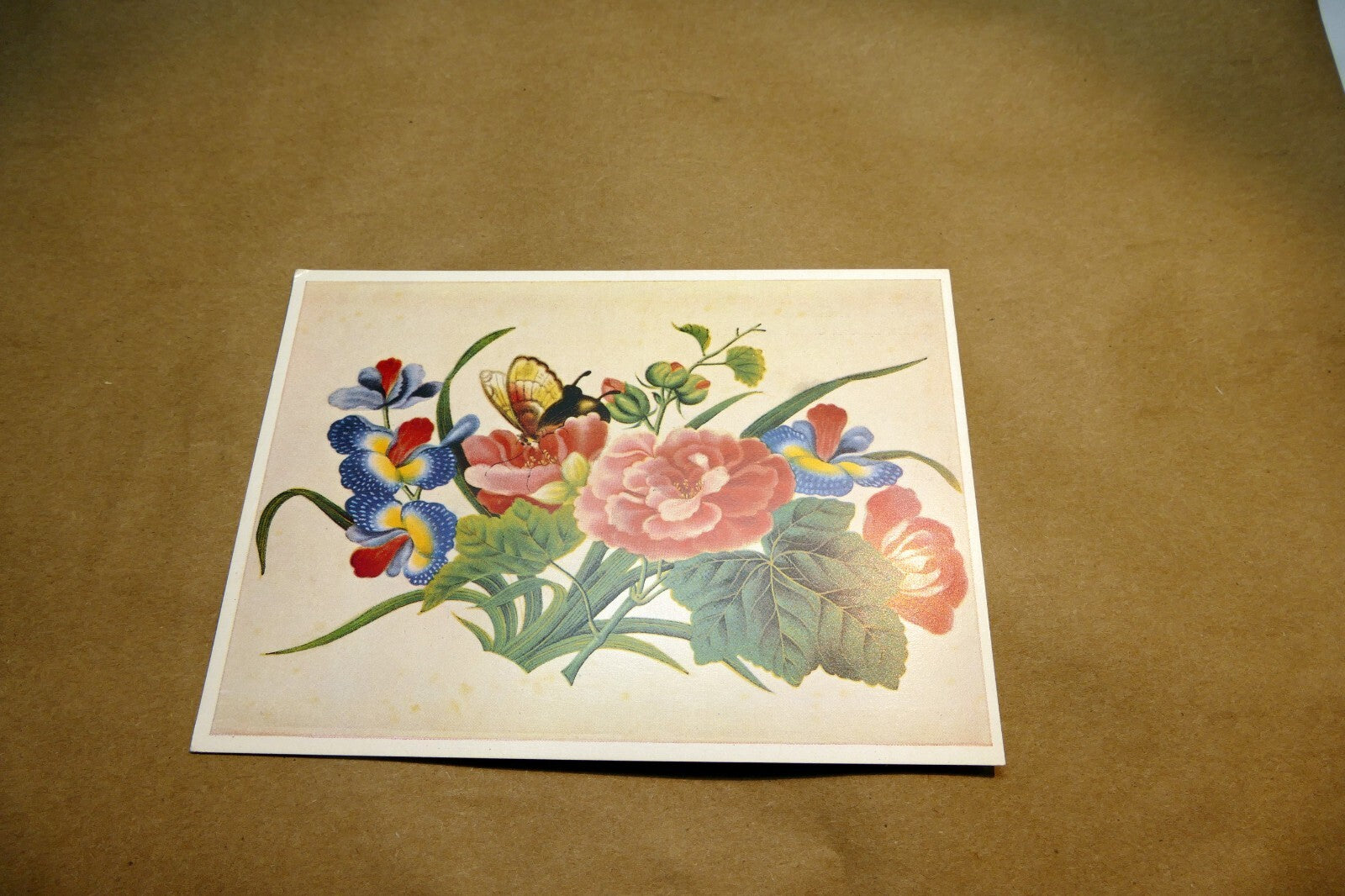 Woldemar Klein Blumen und Schmetterlinge Chin Postcard Germany - Unposted Art