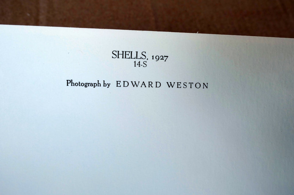 Shells 1927 14-S Photograph by Edward Weston POSTCARD vintage unposted EW-2