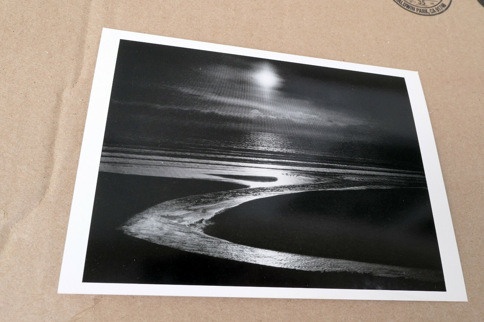 Let There Be Light 1954 Photograph by Wynn Bullock POSTCARD WB-5