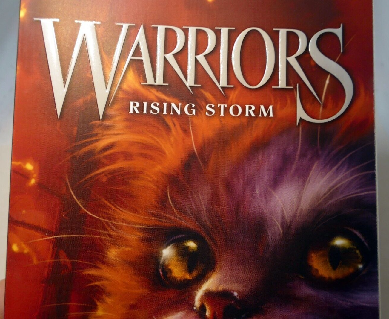 Warriors #4: rising storm (warriors: the prophecies begin)   very good
