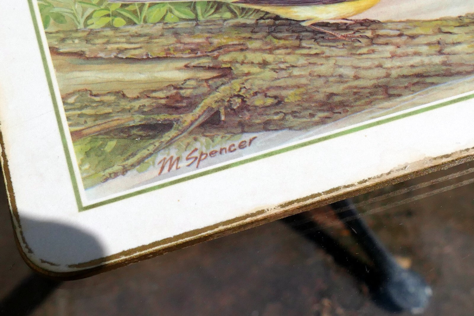 Mark Spencer Bird Mat  cork backed coater 7X9" placemat by M. Spencer