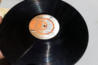 SONGBIRD NU9730 LP Vinyl McLean Sayer Abba James Taylor 1981