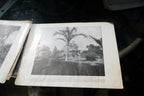The Hawaiian Islands Paradise Of The Pacific Book Photographs Journal Apr. 1898