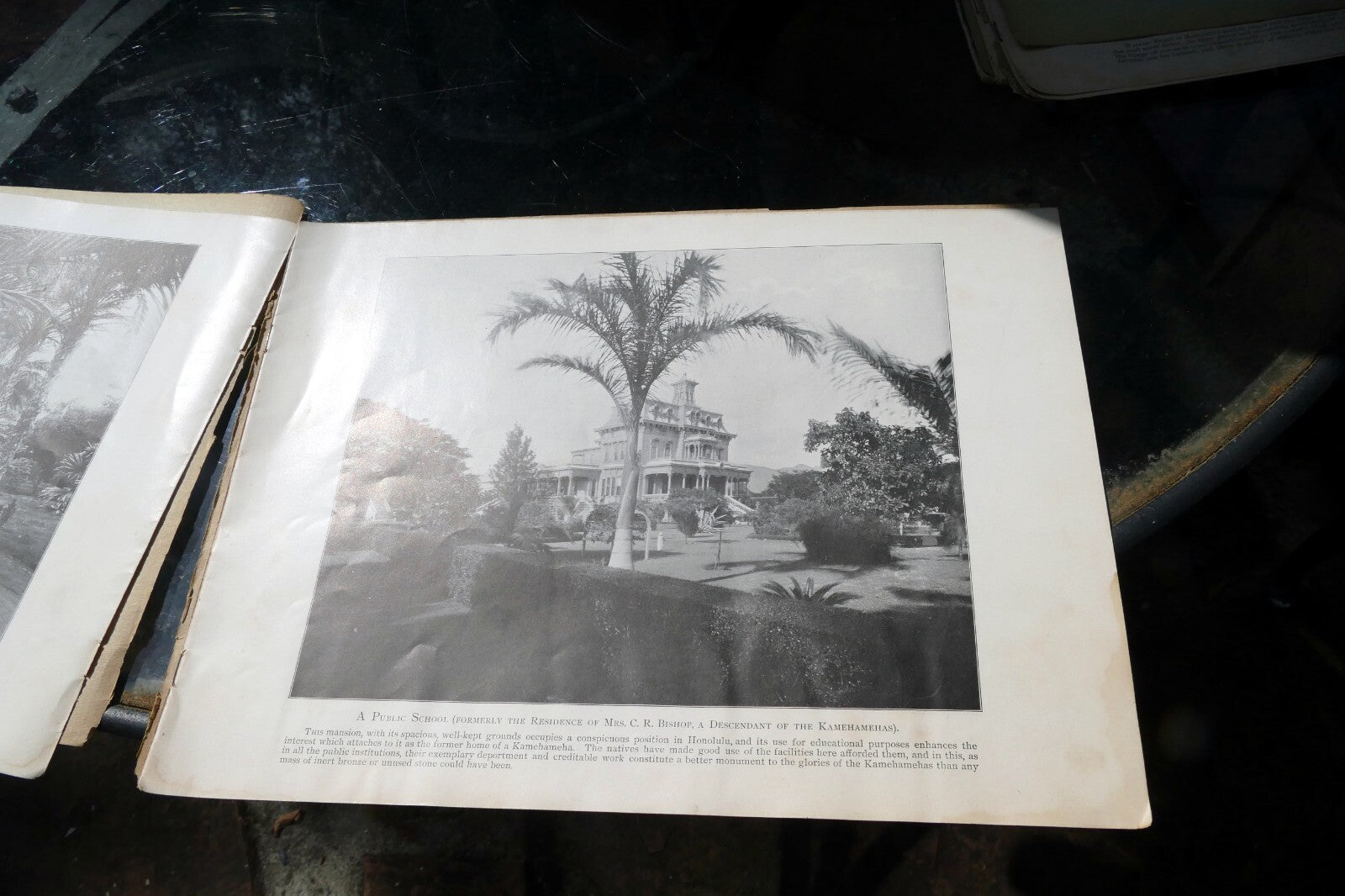 The Hawaiian Islands Paradise Of The Pacific Book Photographs Journal Apr. 1898