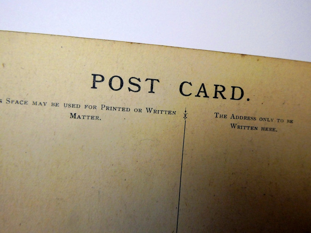 Post Card Chelsea Cup and Saucer English C.36 unused Unposted 1910-1920
