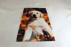Greeting Postcard Animal Shelter North Shore League Dog Puppy Adopt a Pet! 1980'