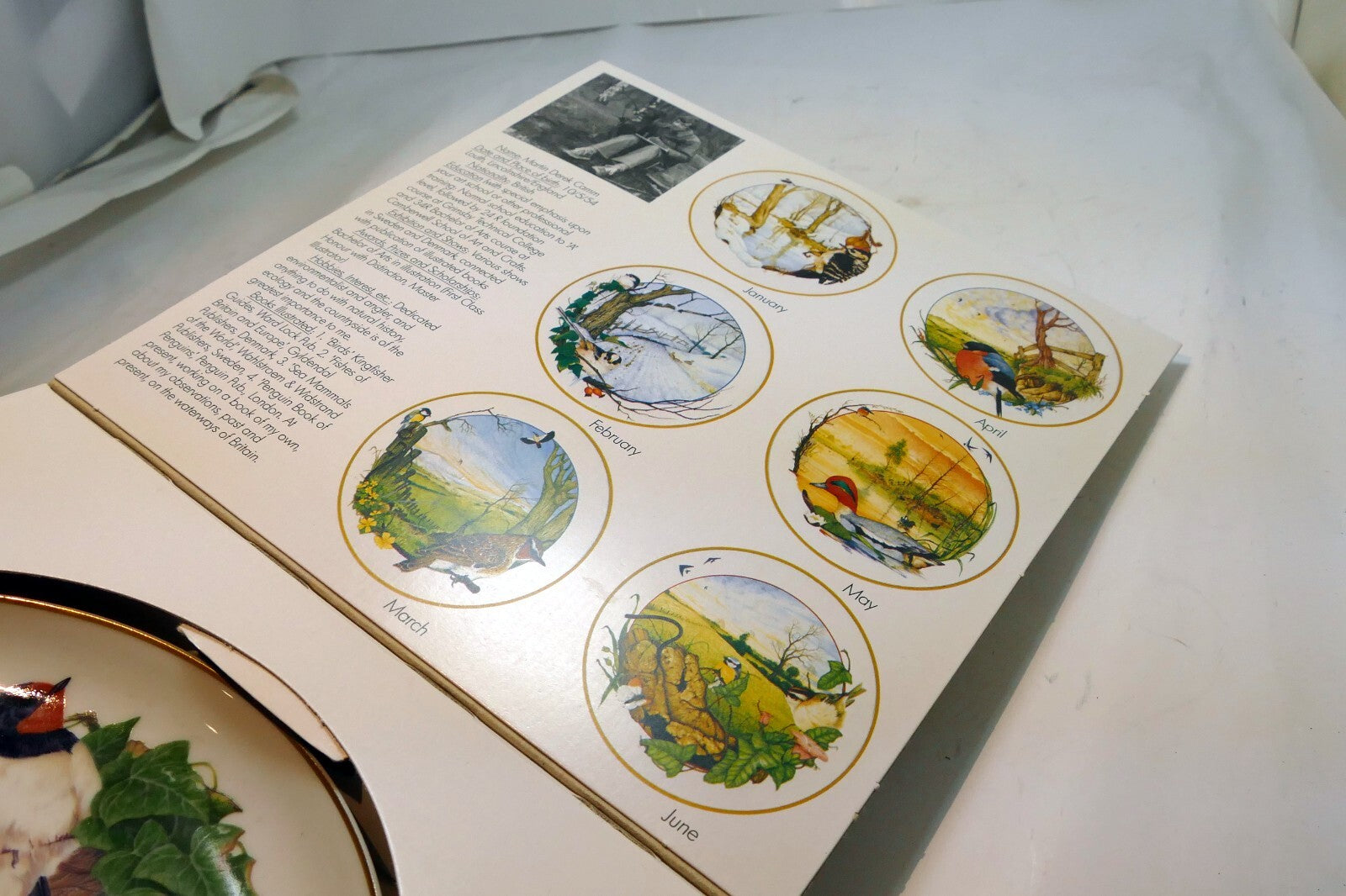 BIRDS of the Country BY Martin Camm - BAVARIA PLATE ARZBERG GERMANY Swallow