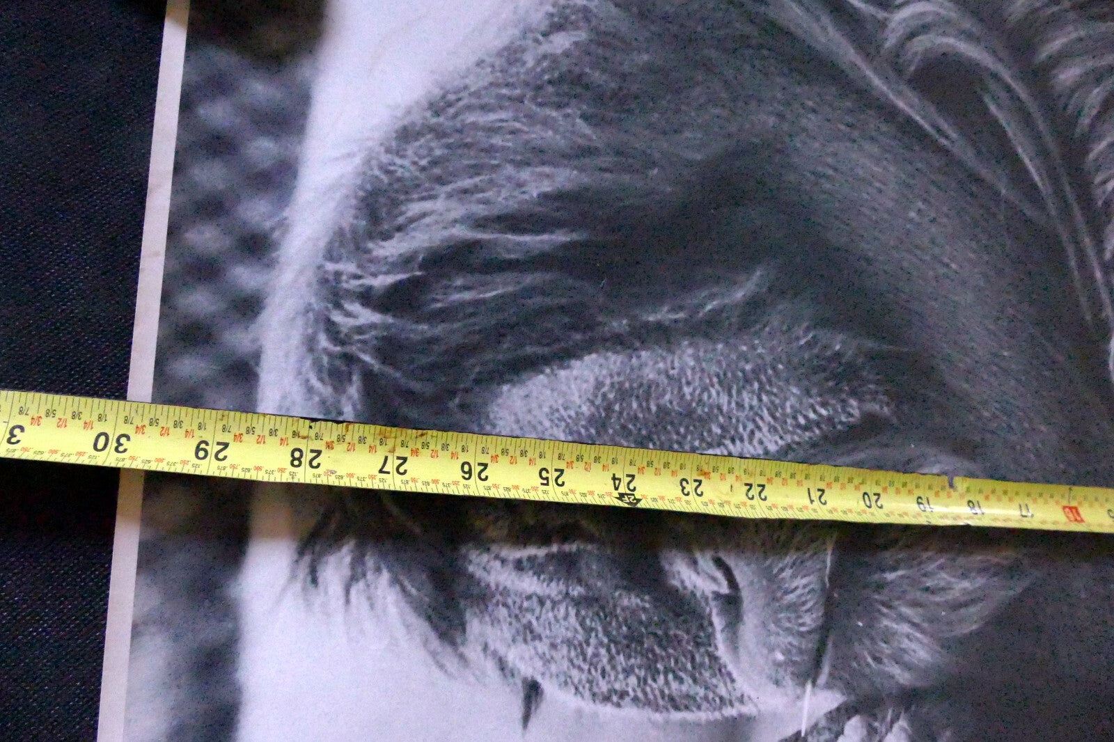 Orangutan old male make love Vintage poster 1971 black and white