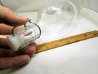 Swing Top Grolsch Glass Bottles 16oz - CLEAR - 11X3.5"   vintage