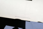 1966 Audubon Print SNOWY EGRET, bird print 15X20" medium