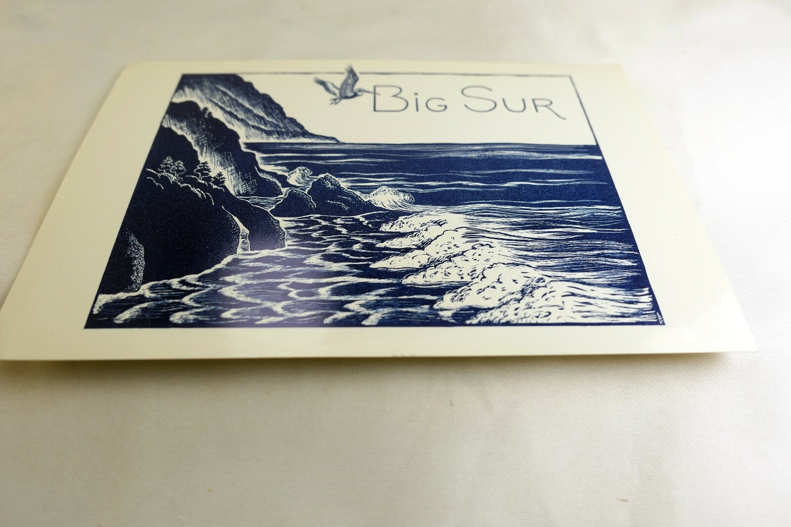 Big Sur Beach Monterey Bay California USA Postcard vintage 1991 w/ pelican ocean