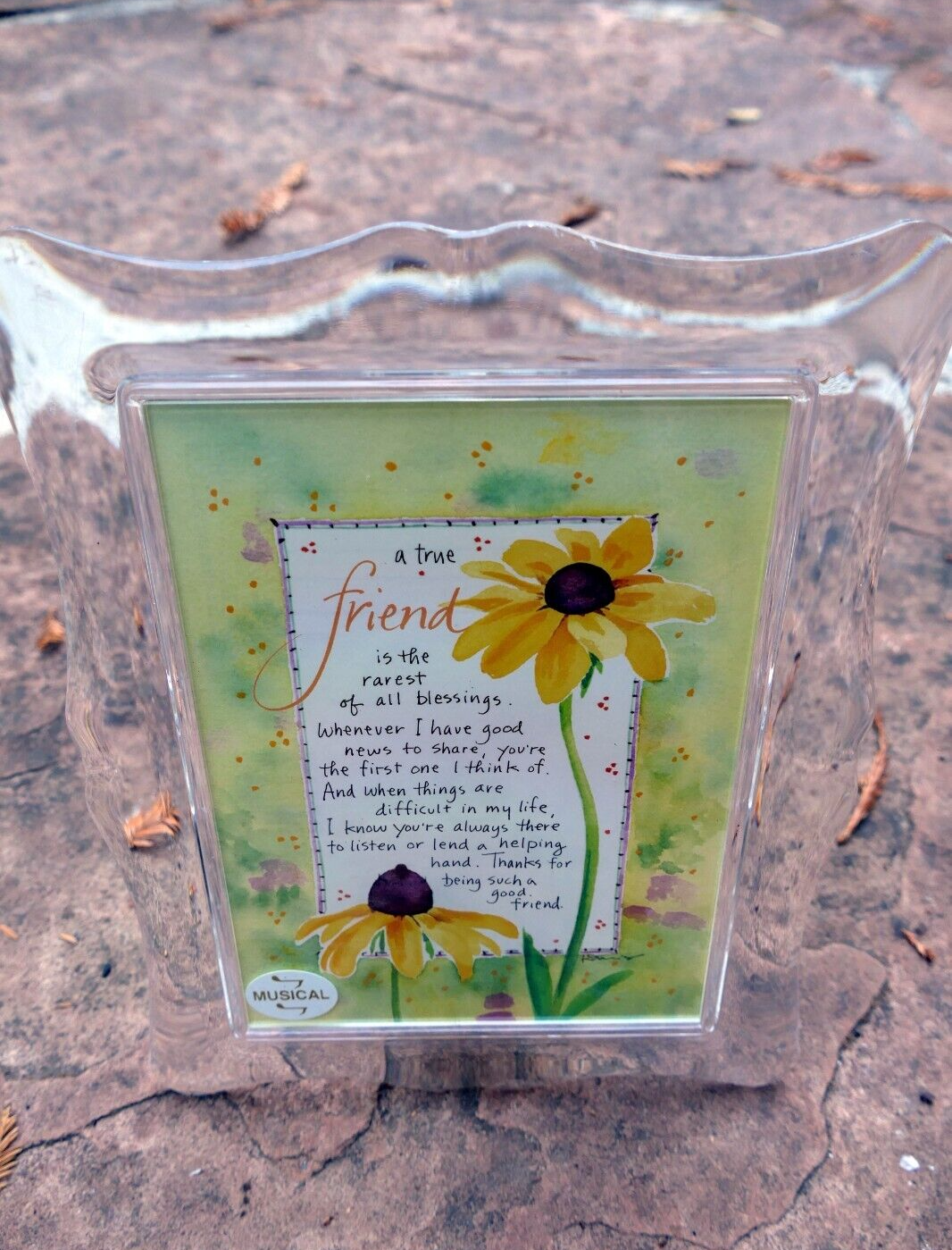 5x7" acrylic picture photo frame w music box tune: "that's what friends are for"