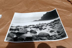 Big Sur California 11X14" Black & white Picture Photo beach Surf Ocean Unsigned