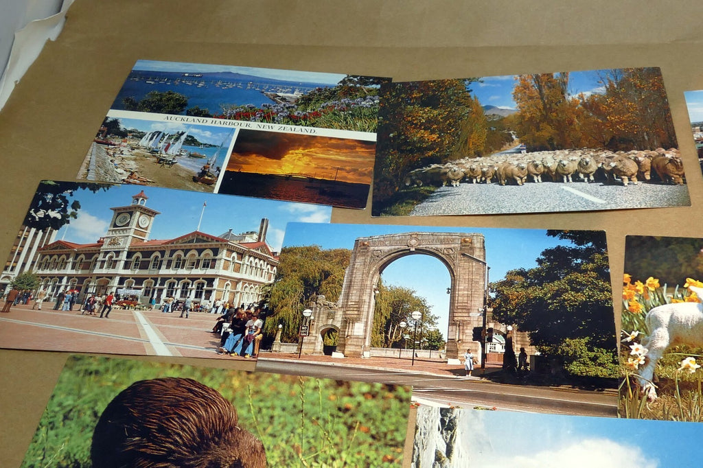 1970-80's Postcard unposted New Zealand Auckland Landscapes kiwi Sheep