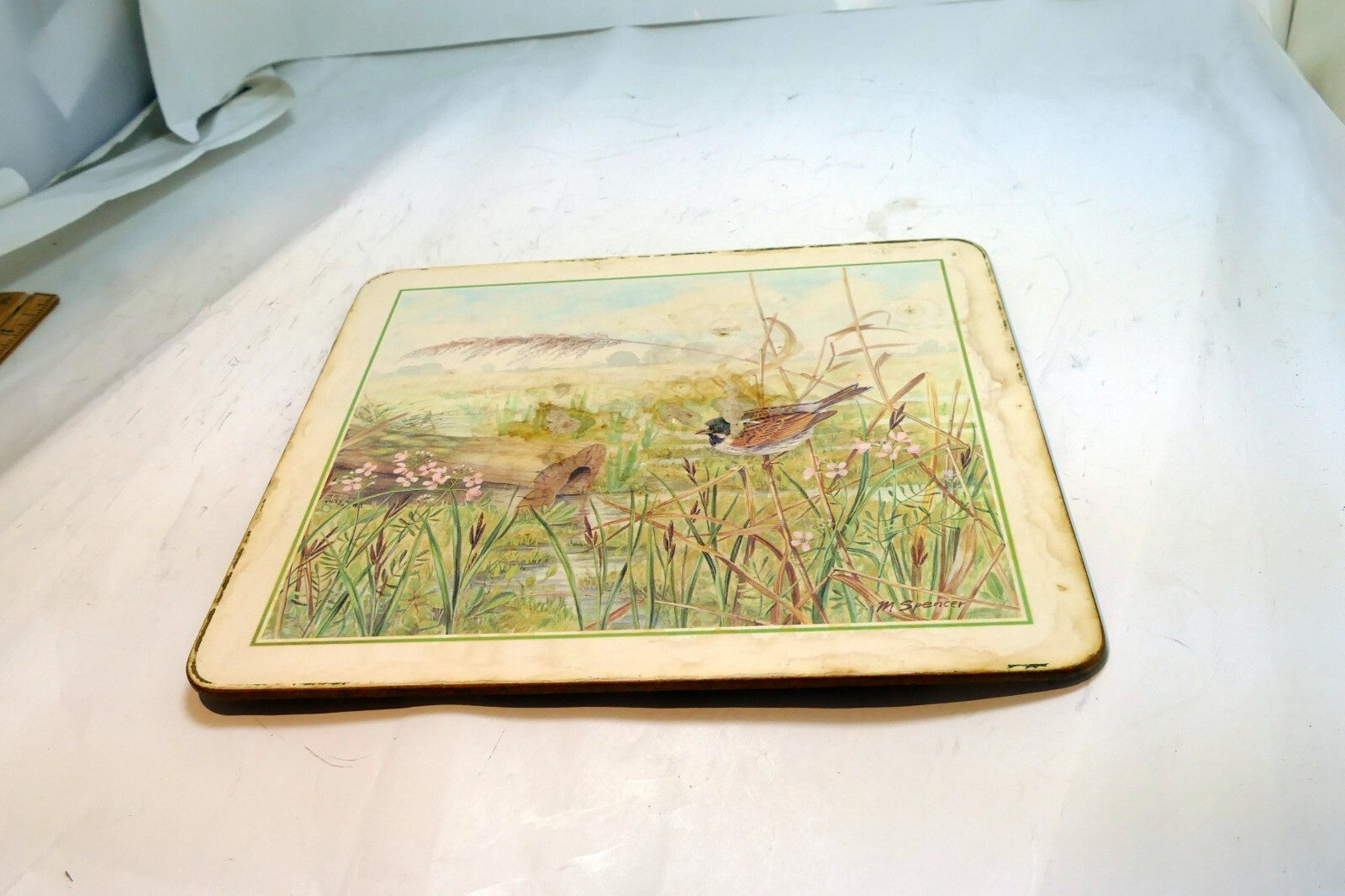 Bird  Placemat   mat 7X8" by M. Spencer Birds - vintage