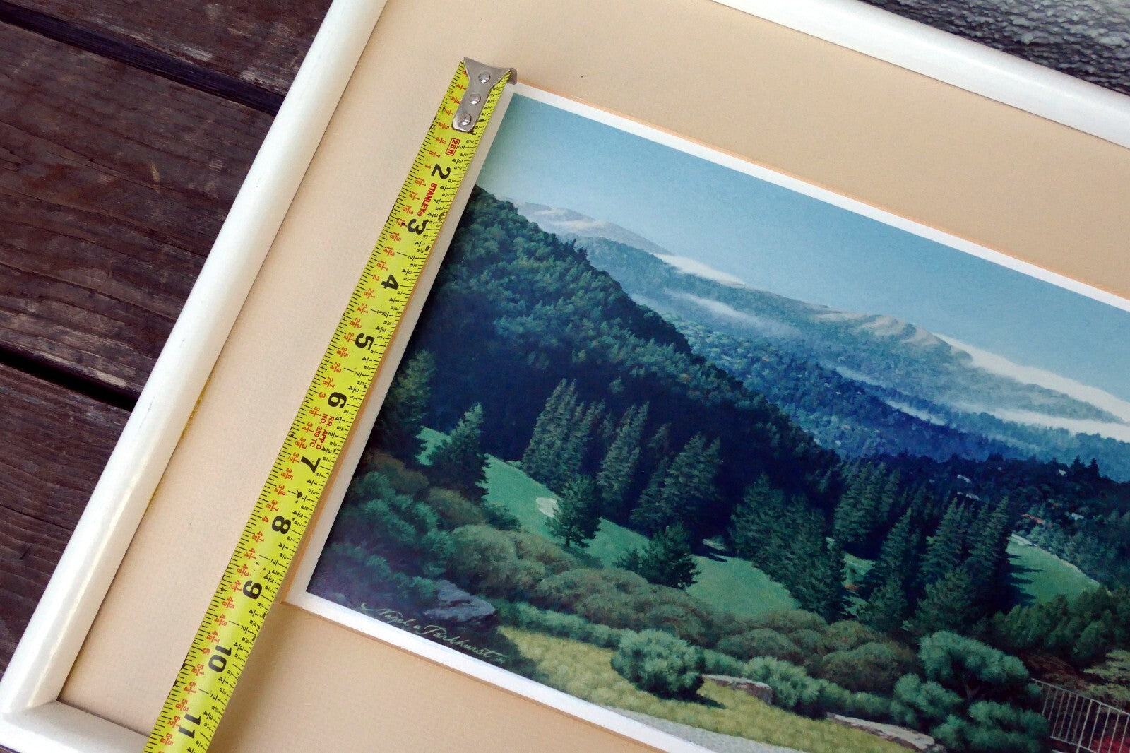 Nagel Parkhurst Sierra Nevada Cafe Landscape  Print  - 1994