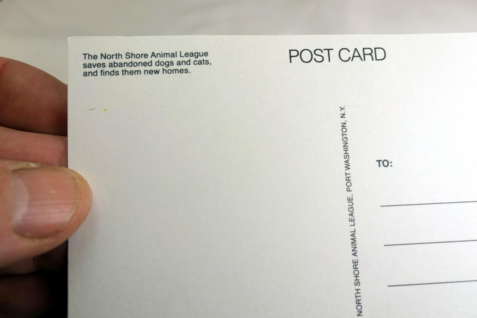 Missing You Postcard Animal Shelter North Shore League Adopt a Pet Kitten 1980's