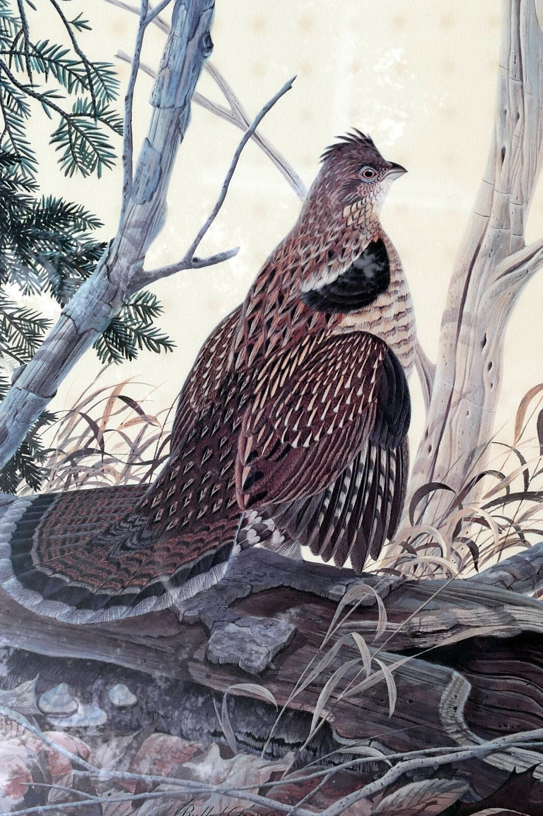 John A Ruthven Signed Numbered Limited Edition Print "Ruffed Grouse" 18X24