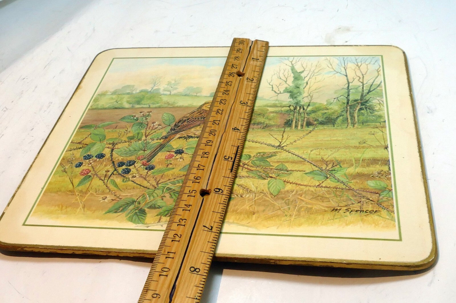 Bird  Placemat   mat 7X8" by M. Spencer Birds - vintage