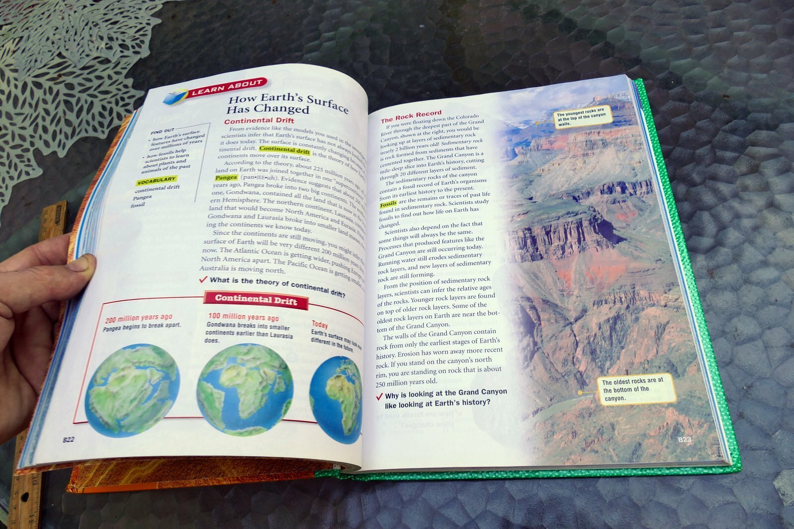 Harcourt Science : California Edition by Harcourt School Publishers Staff