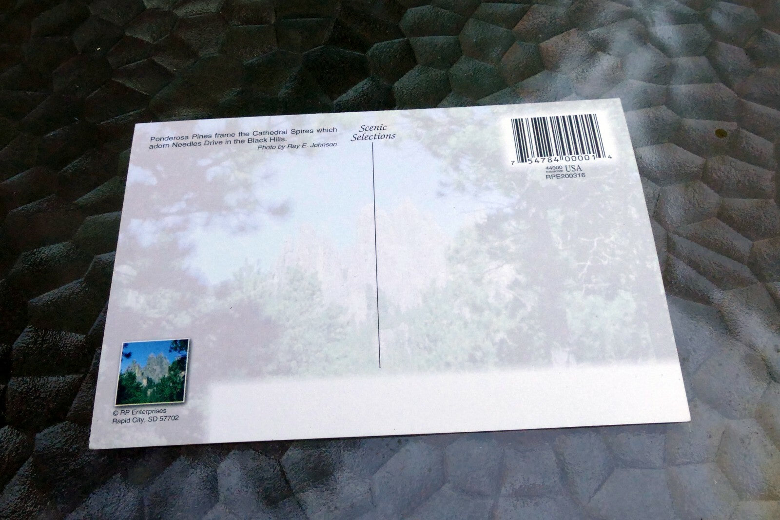 Cathedral Spires  Black Hills South Dakota Postcard