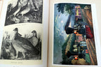 Currier & Ives "Printmakers to the  American People" by Harry T Peters