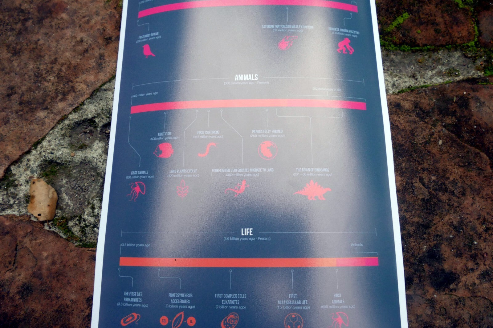 "Perspective of Time" Universe Galaxy Science Print Poster Time Chart Evolution