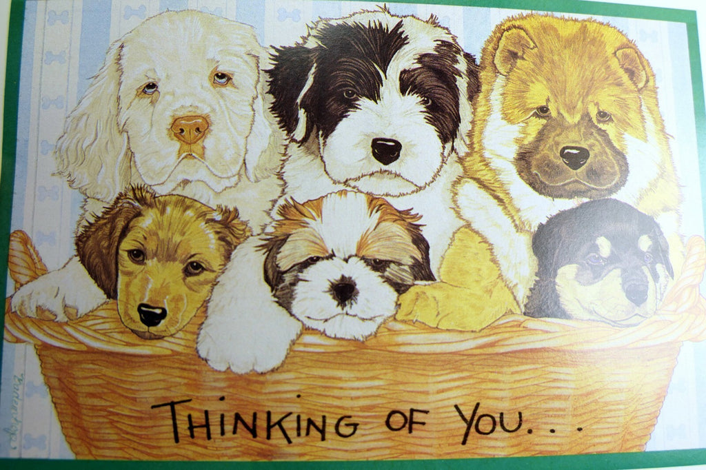 Thinking of you get well postcard animal shelter north shore league dog puppies
