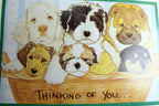Thinking of you get well postcard animal shelter north shore league dog puppies