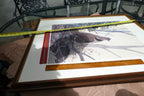 John A Ruthven Signed Numbered Limited Edition Print "Ruffed Grouse" 18X24
