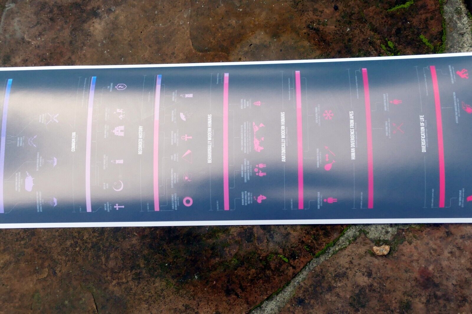 "Perspective of Time" Universe Galaxy Science Print Poster Time Chart Evolution
