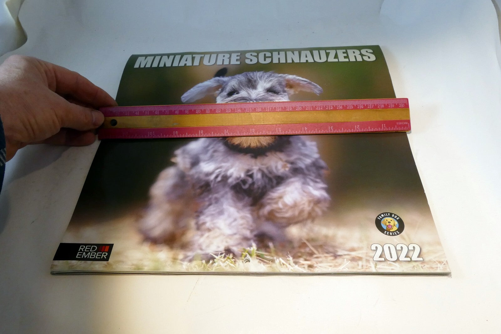 2022 Miniature Calendar puppy dog pics Red Ember family series