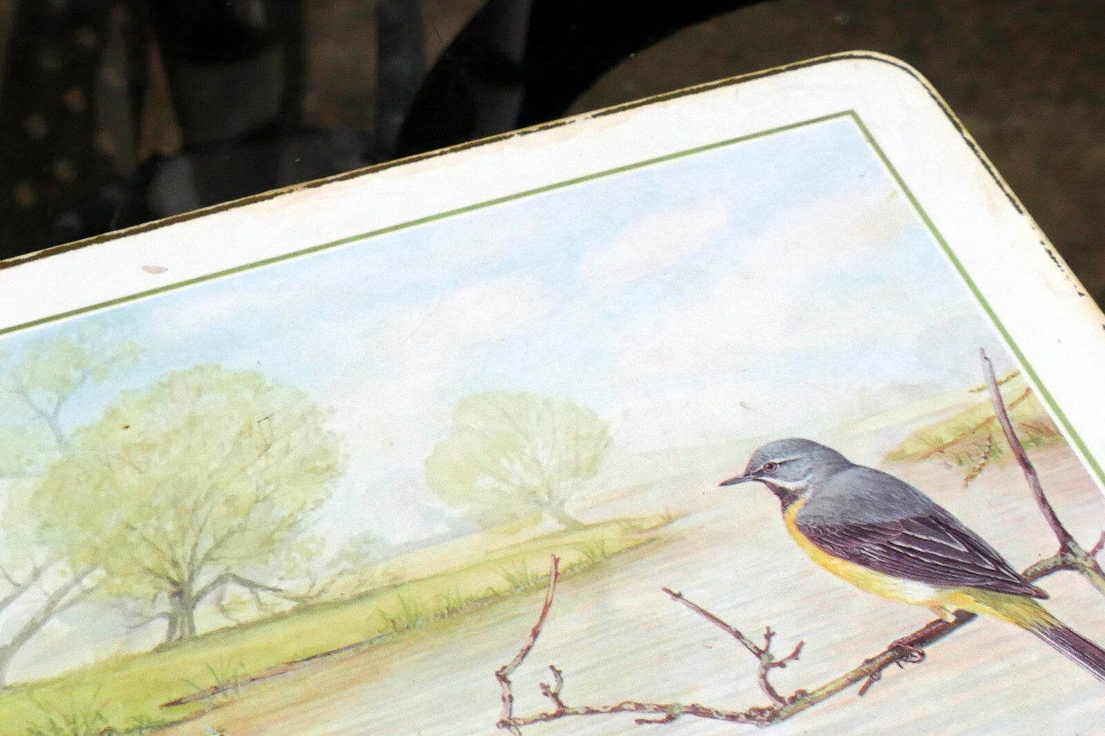 Mark Spencer Bird Mat  cork backed coater 7X9" placemat by M. Spencer