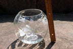 Glass Bowl Glass Bowl Globe 6" Floral Design European Collection