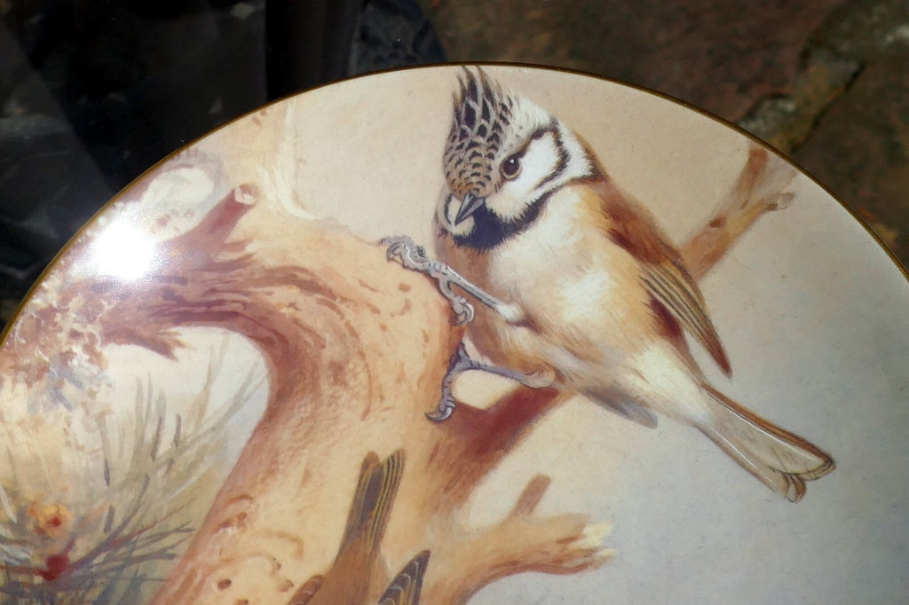Coalport BIRD PLATE 8" 20cm England Goldcrest Firecrest Titmouse Thornburn's gar