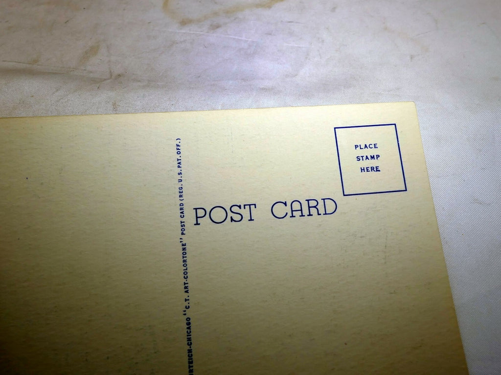 Post Card Potomac park Cherry Blossoms 125 Washington DC Linen 1940's